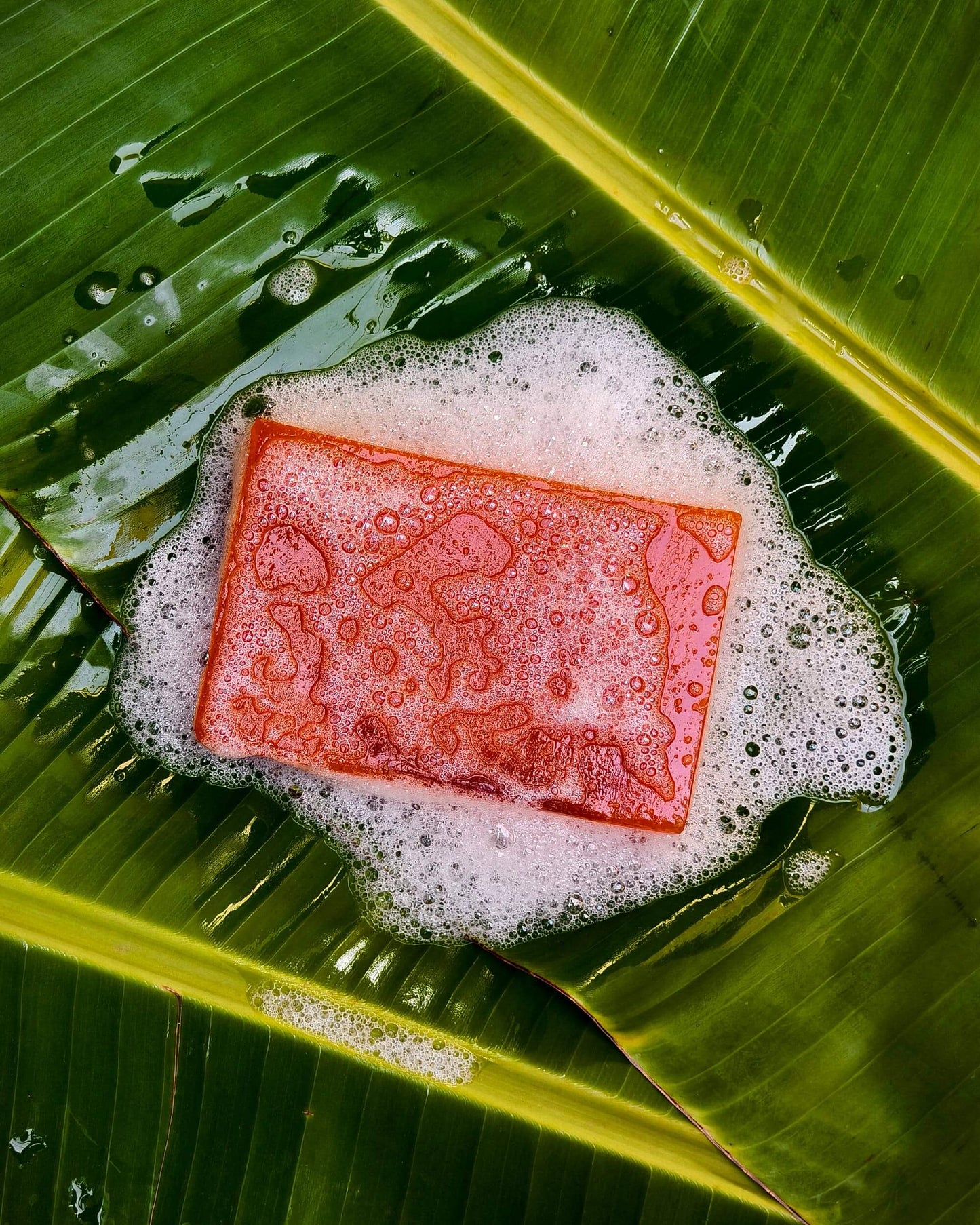 Papaya Passion